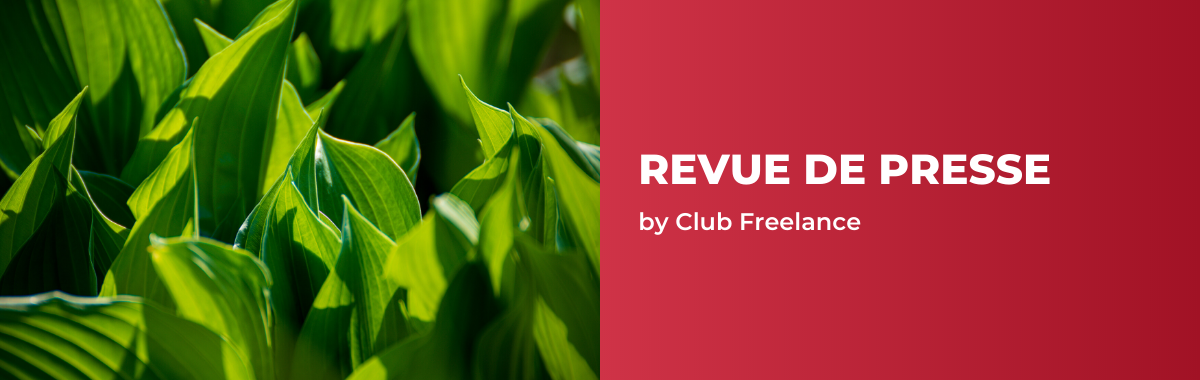 Green IT : notre sélection d’articles
